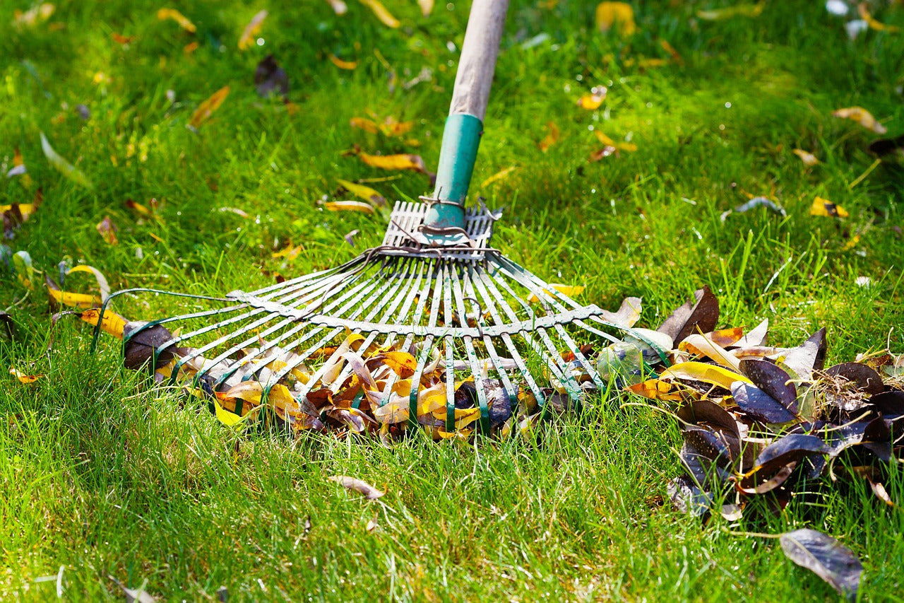 Tips on Preparing Your Lawn for Fall