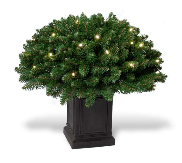 Mixed Pine Bush With Planter 11087
