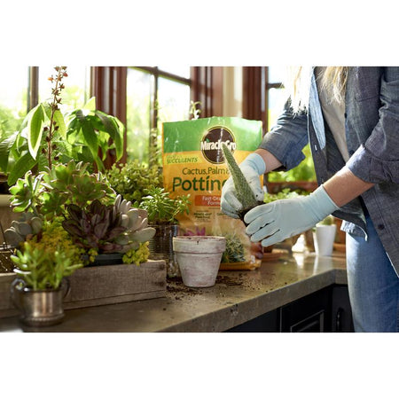 miracle-gro cactus palm and citrus potting mix 8 qt Miracle Gro Cactus, Palm & Citrus Soil 8 Qt 72078432 – TheGardenStore.com