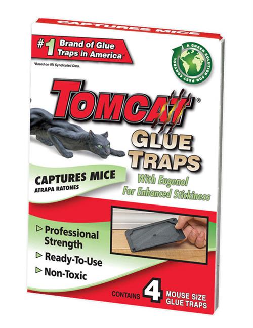 Tomcat Glue Traps  with Eugenol for Mice 4-Pack 0362310