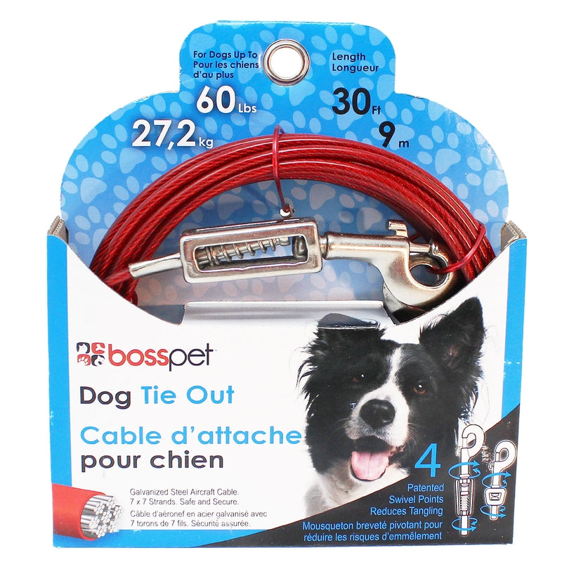 PDQ 30 Ft Vinyl Coated Large Dog Tie Out With Spring Q3530-SPG-99